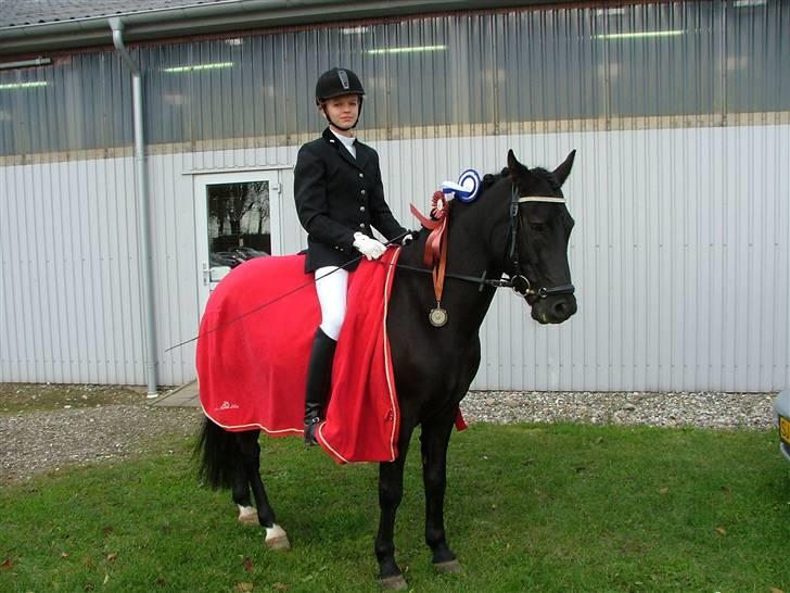 New Forest Elmholts Faust billede 5