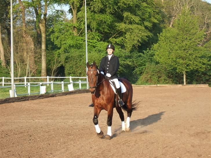 Oldenborg Jeppe af østerholm billede 12