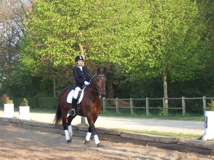 Oldenborg Jeppe af østerholm billede 13