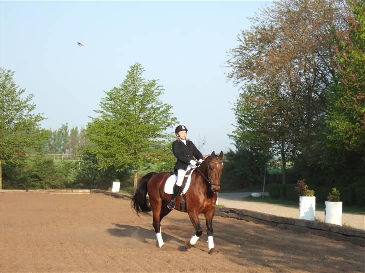 Oldenborg Jeppe af østerholm billede 14