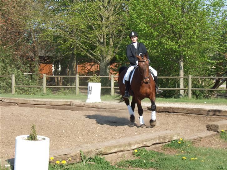 Oldenborg Jeppe af østerholm billede 15