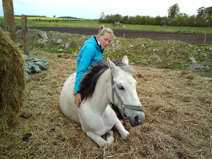 Anden særlig race Cirkeline <3 billede 17
