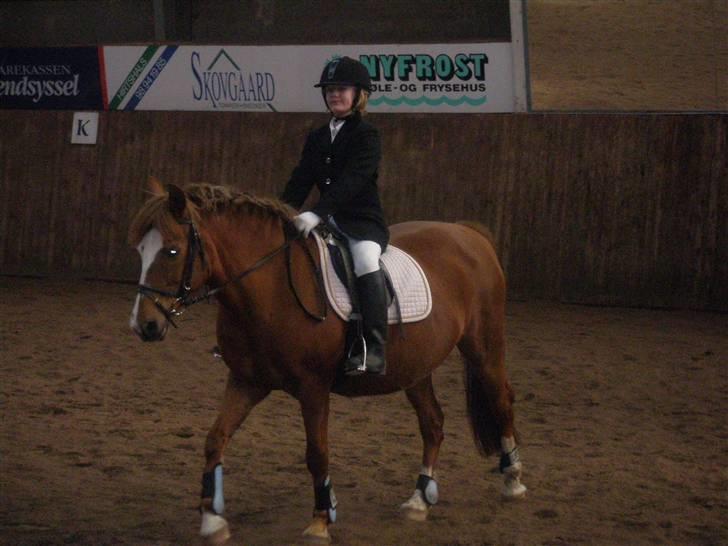 Anden særlig race  Sus R.I.P billede 3