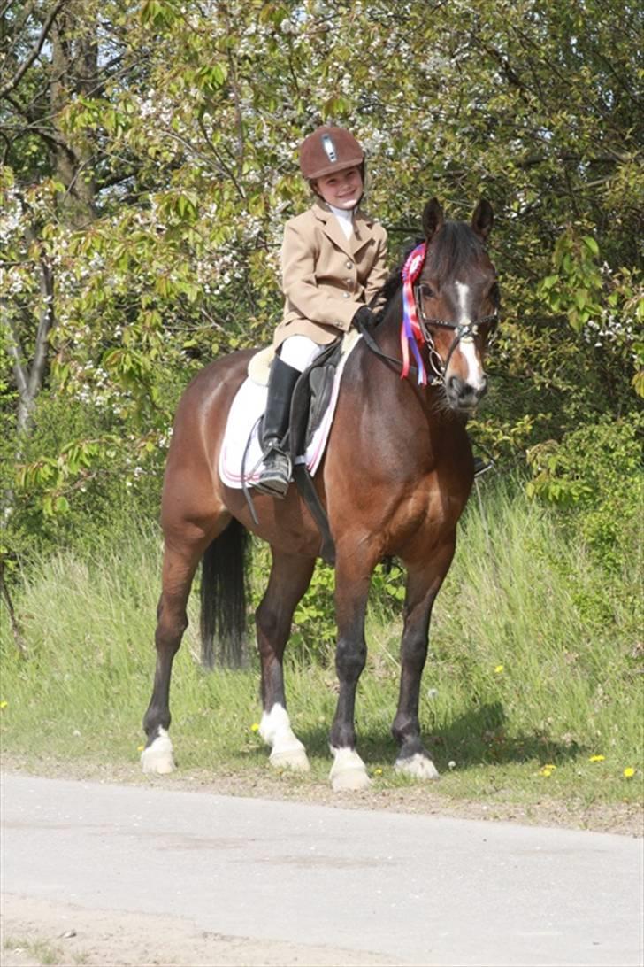 Anden særlig race Palle - TIL SOLGT billede 7