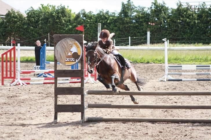 Anden særlig race Palle - TIL SOLGT - palle og jeg laver hurtige sving i omspringning billede 10