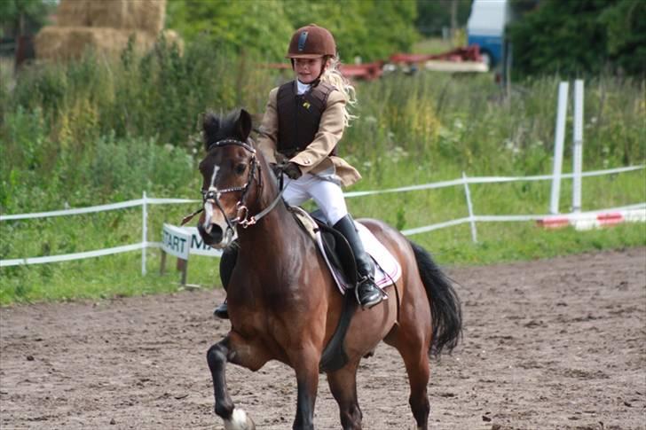 Anden særlig race Palle - TIL SOLGT - Palle og jeg i Kildebrønde Sporstrideklub d. 20.juni 09 billede 11