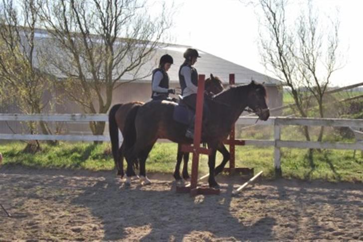 DSP Prins *har reddet* billede 11