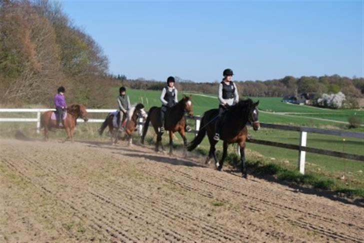 DSP Prins *har reddet* billede 12