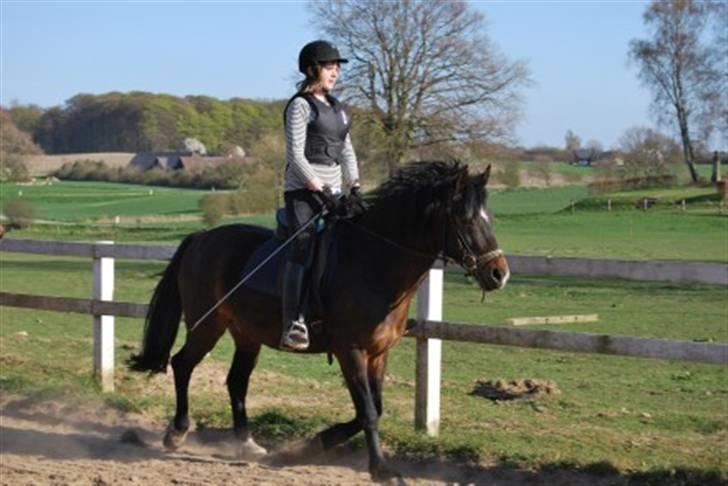 DSP Prins *har reddet* billede 13