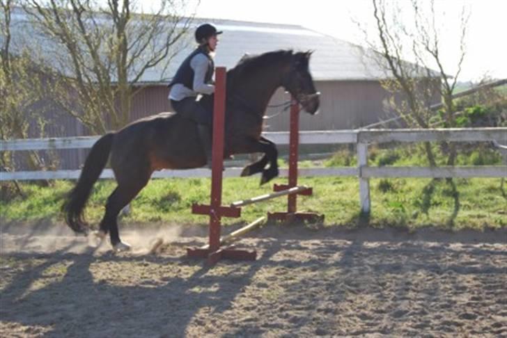 DSP Prins *har reddet* billede 14