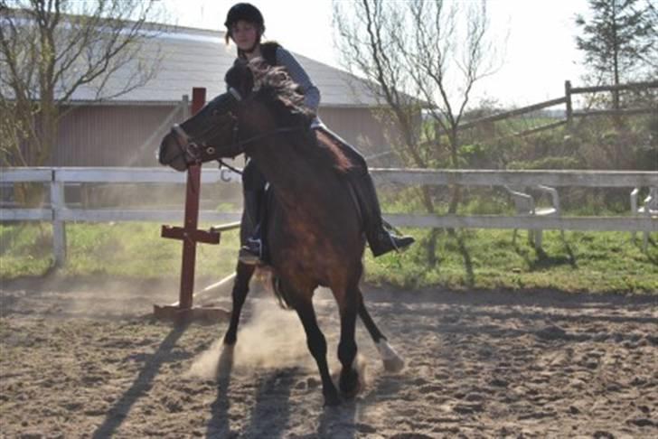 DSP Prins *har reddet* billede 15