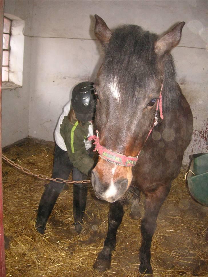 DSP Prins *har reddet* billede 17