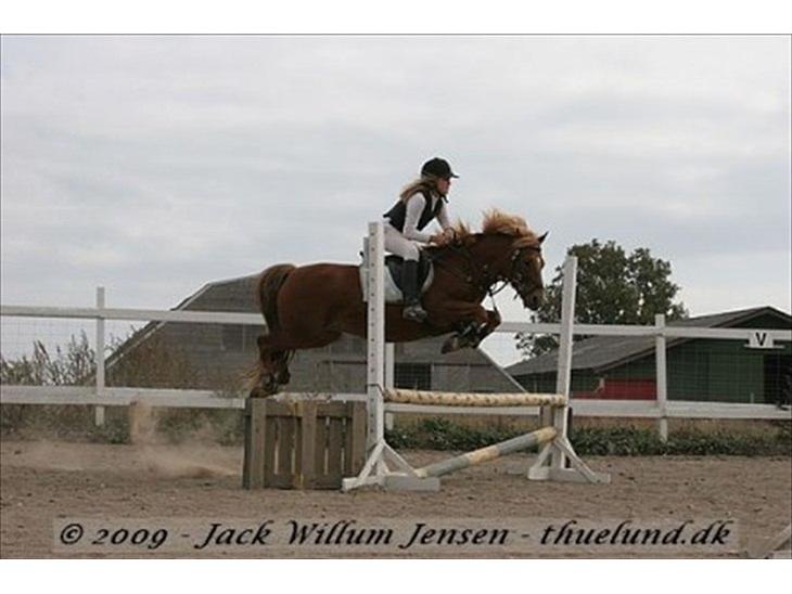 {{currentPhoto.altText}} billede {{currentPhoto.number}}