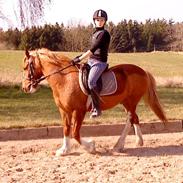 Anden særlig race Whitesox Lillefod (BAL)