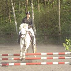 Anden særlig race Zafir