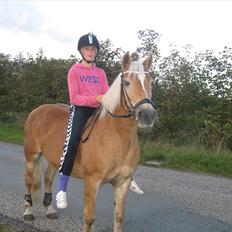 Tyroler Haflinger Elghusets Gipsy:-*' R.I.P