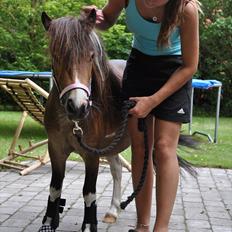 Miniature Superstar<3