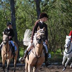 Palomino Imke *Rider* *solgt*