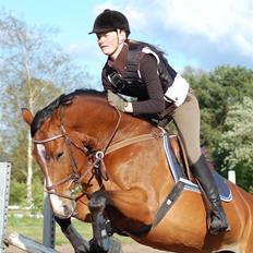 Hannoveraner Diana
