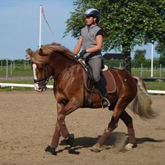 Anden særlig race Dream Come True <3