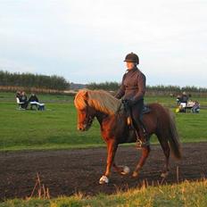 Islænder Atli Fra Kirstinelund