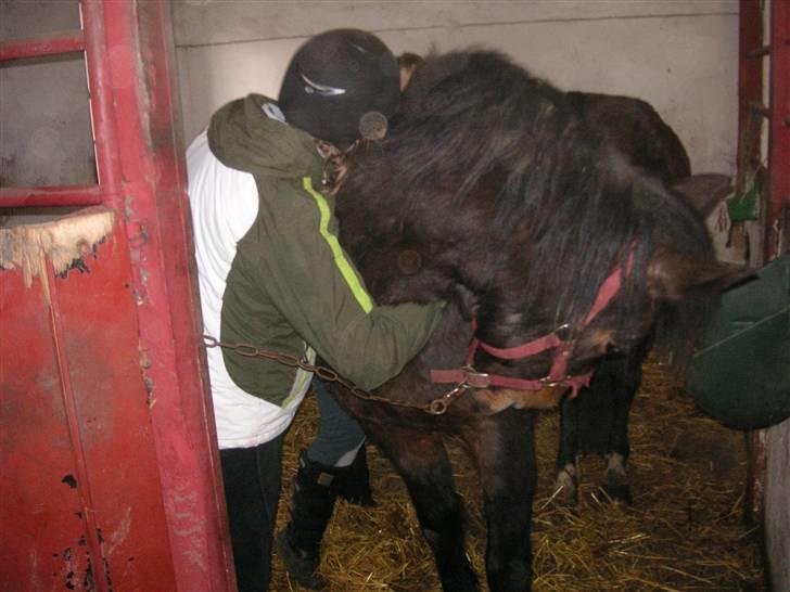 DSP Prins *har reddet* billede 19