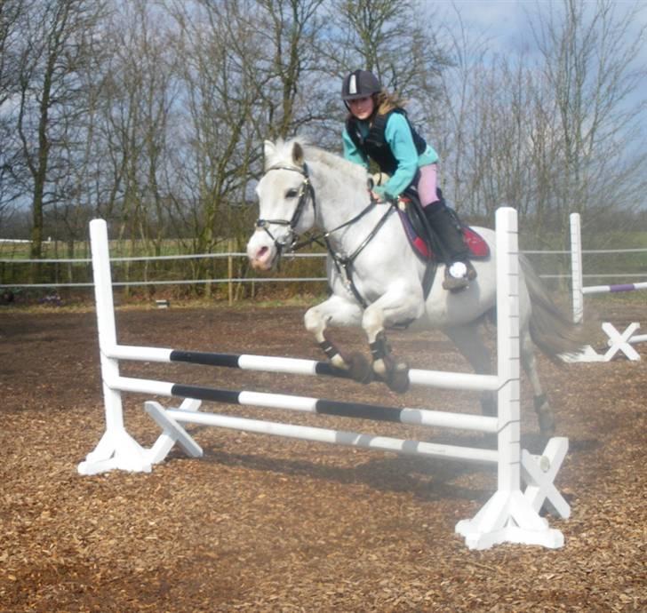 Anden særlig race chili billede 16