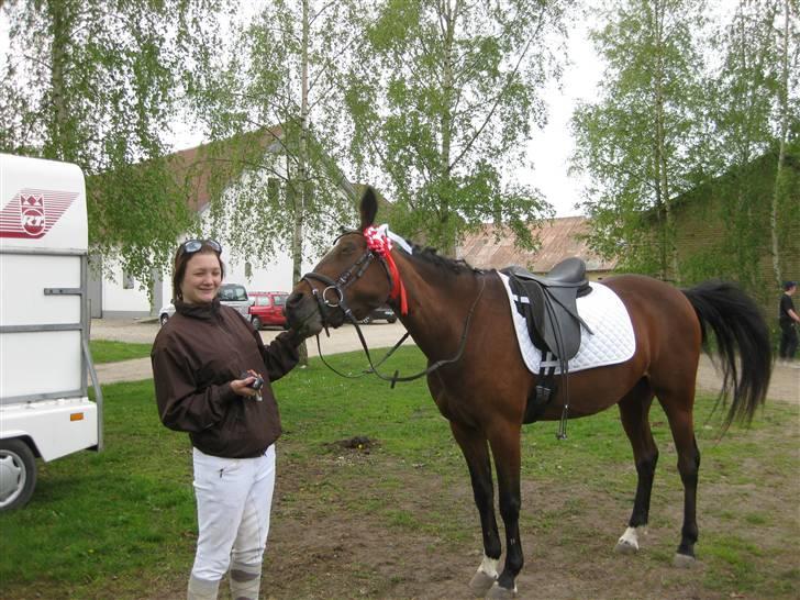 Traver Here To Stay - Stay med hendes allerførste roset. Vundet i LD1 billede 7