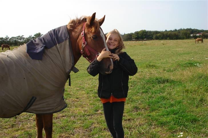 Anden særlig race Miss Mille - mig og Mille på marken  billede 8