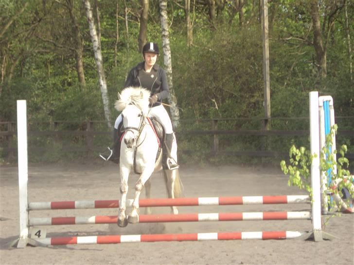 Anden særlig race Zafir billede 3