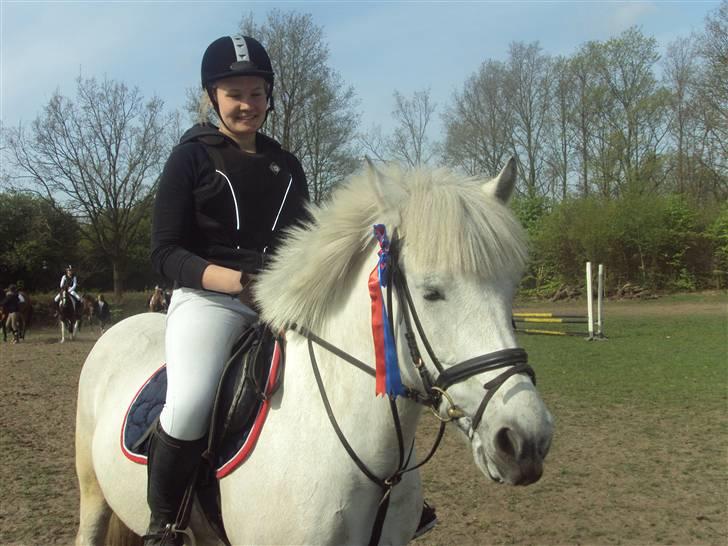 Anden særlig race Zafir billede 4