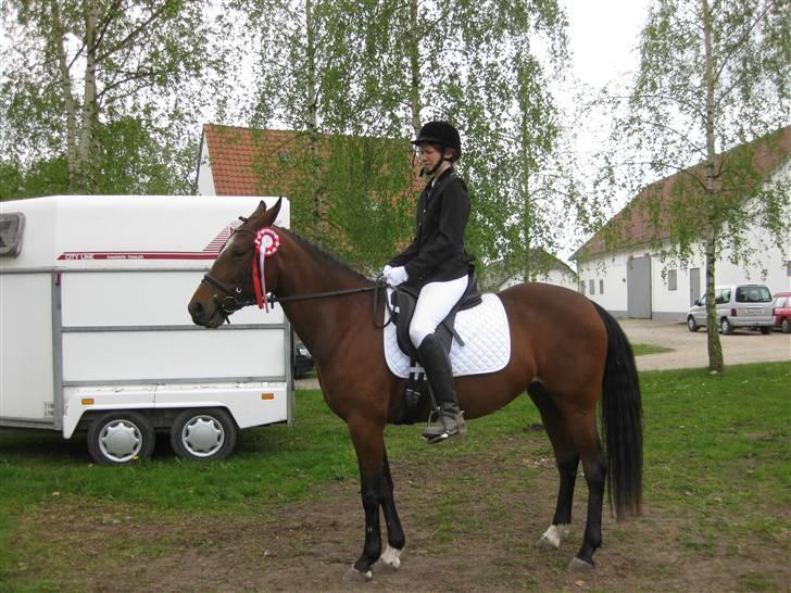 Traver Here To Stay - Stay med hendes allerførste roset. Vundet i LD1 billede 9