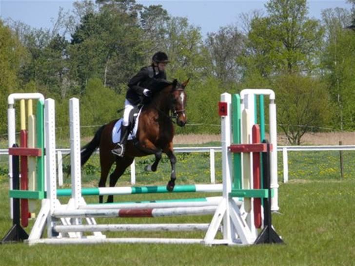 Traver Here To Stay - 2/5-09 Nu begynder vi begge to at slappe lidt af. billede 11