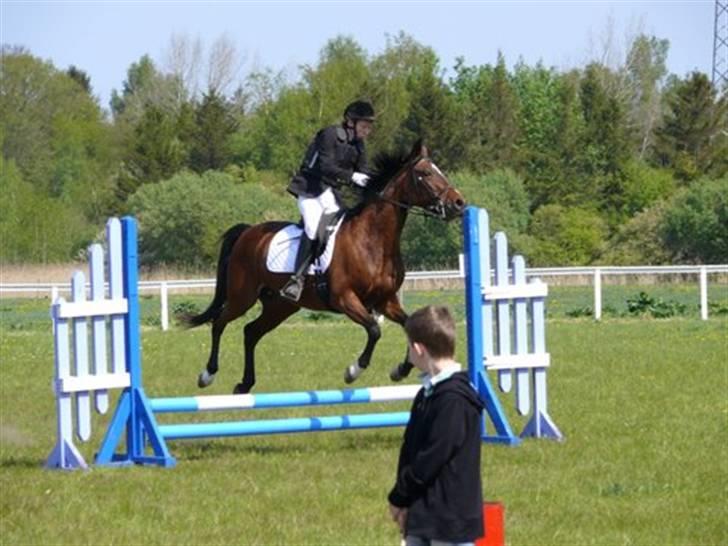 Traver Here To Stay - 2/5-09 Undskyld Stay! Det hvde været nemmere for dig med en anden rytter. billede 12