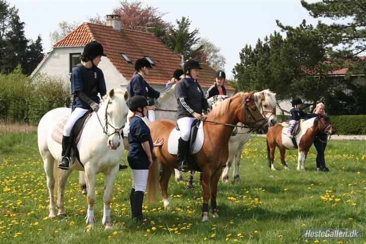 Anden særlig race picasso<3(gl.part:( !!!!) billede 6