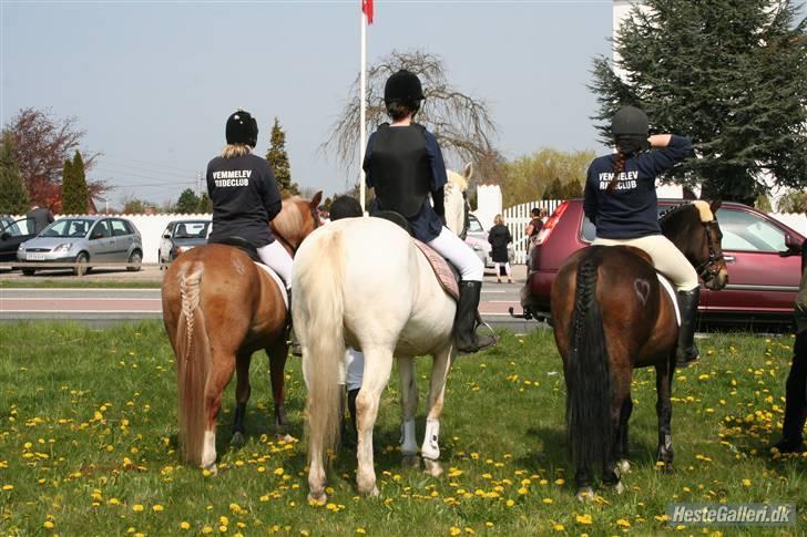 Anden særlig race picasso<3(gl.part:( !!!!) - picasso med flettet hale xD billede 7