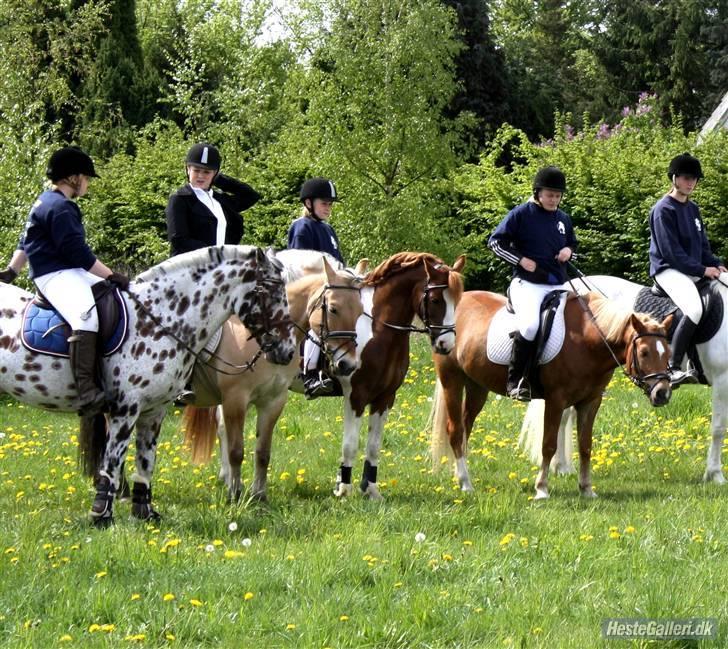 Anden særlig race picasso<3(gl.part:( !!!!) billede 9