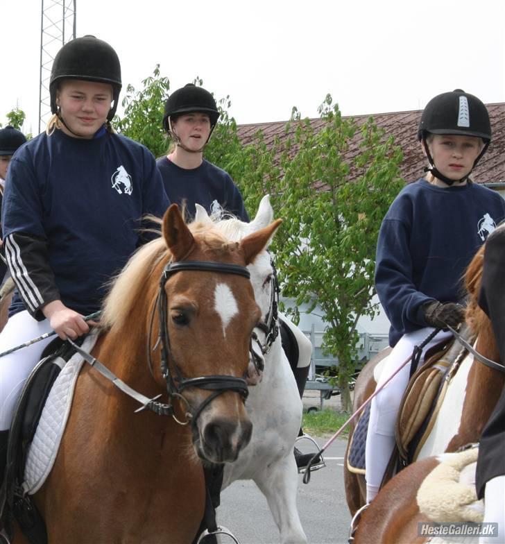 Anden særlig race picasso<3(gl.part:( !!!!) billede 10