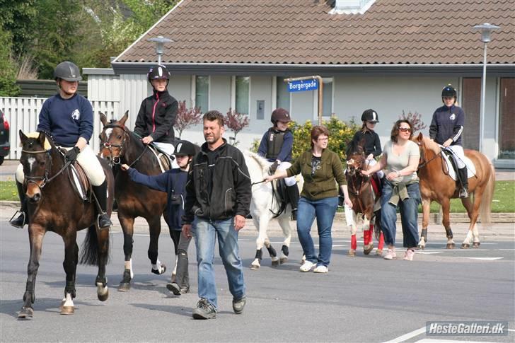 Anden særlig race picasso<3(gl.part:( !!!!) billede 13