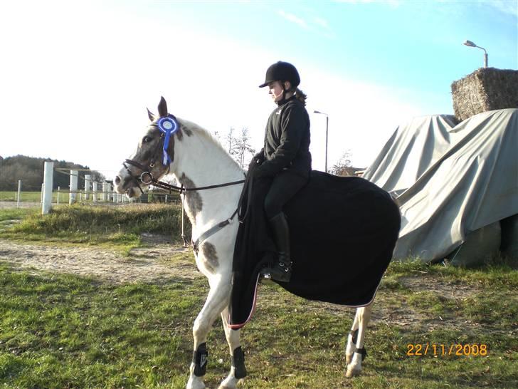 Pinto Mathilde - Smuk smukkere og self er hun smukkest! billede 8