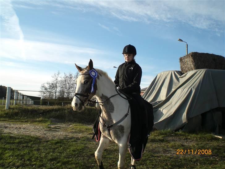 Pinto Mathilde - Hun er smuk ligemeget hvor man kigger på hende! billede 9