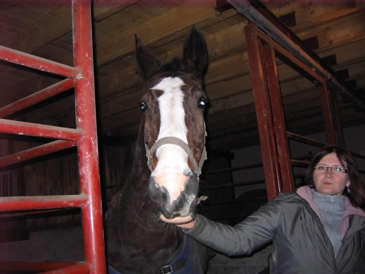 Dansk Varmblod Sandra - Sandra og min mor billede 7