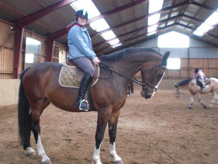 Dansk Varmblod Sandra - Parade (: billede 10