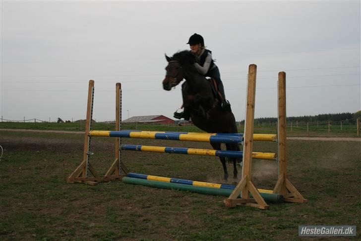 Hollandsk Sportspony - Topgun (har redet) - <3 ude ved Liza, en af de første gange jeg rider hende. billede 4