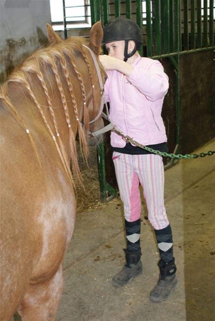 Anden særlig race Skovlundegårds Bambine - Første gang jeg så hende, tiden er fløjet.♥ billede 11