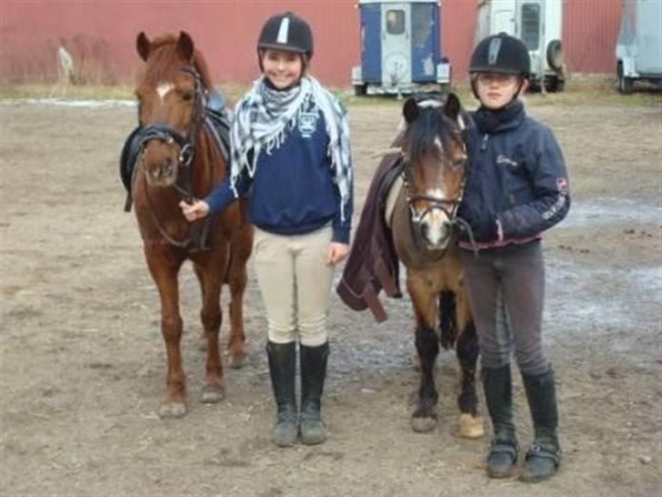 Anden særlig race Lucky Boy billede 19