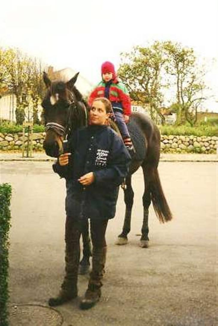Traver Tyson - 1999 billede 8