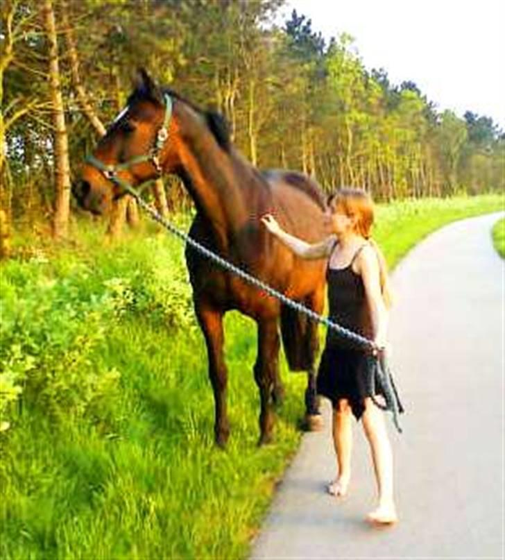 Traver Tyson - 2009 billede 12