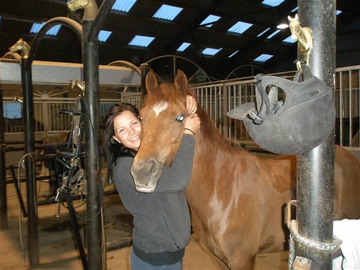 New Forest Lucky Star - b-pony - jeg elsker den pony(: billede 10