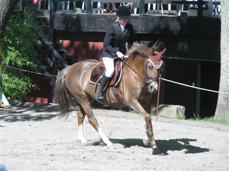 Tysk Sportspony Lotusblume - 10# Nr. 4 i LA på egene - æresrunde :) D. 23/5-09. Foto: Mig billede 10